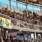 Gorzow - Torun 14.4.2024